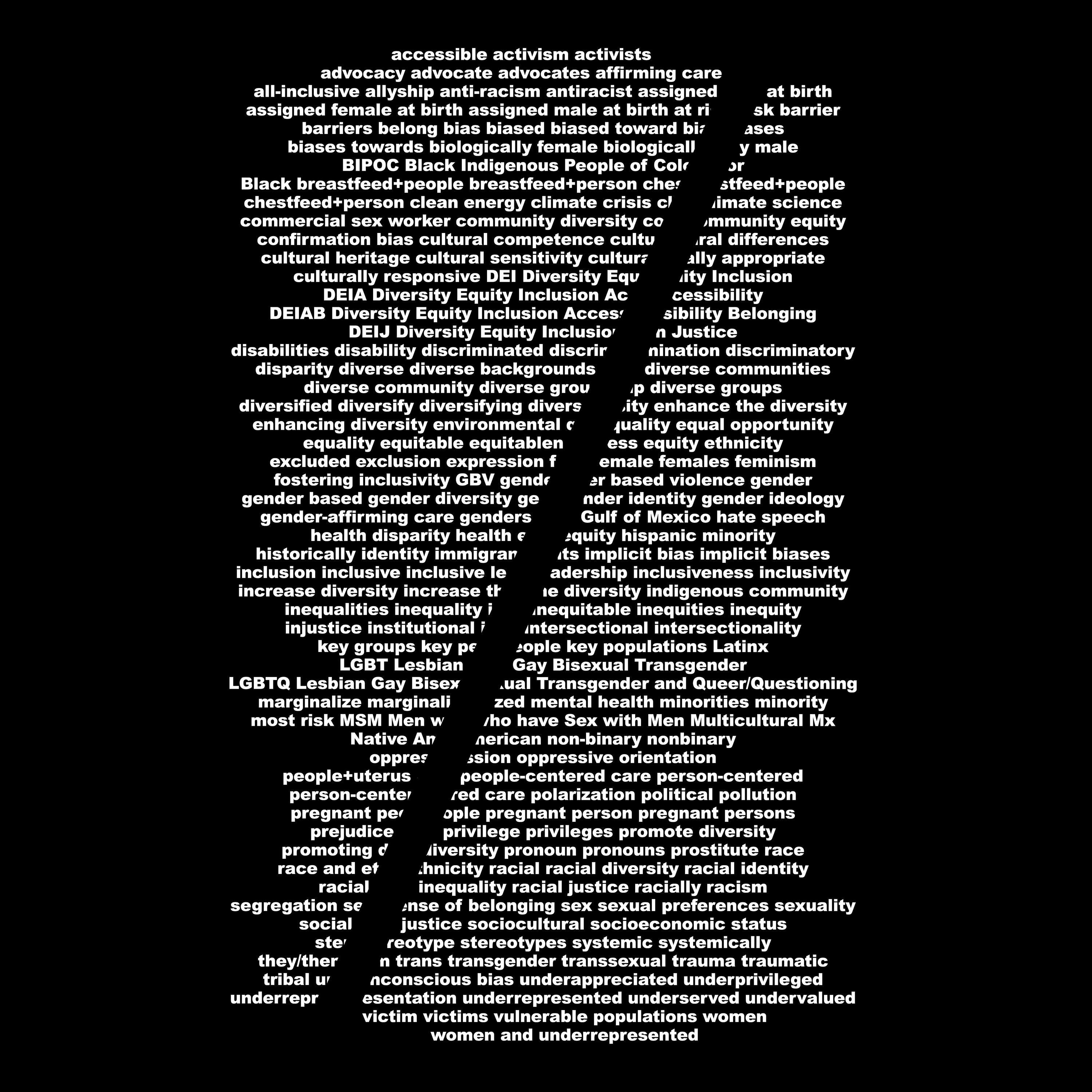 DEI Tshirt Diversity Equity Inclusion White Text on Black Protest Tee