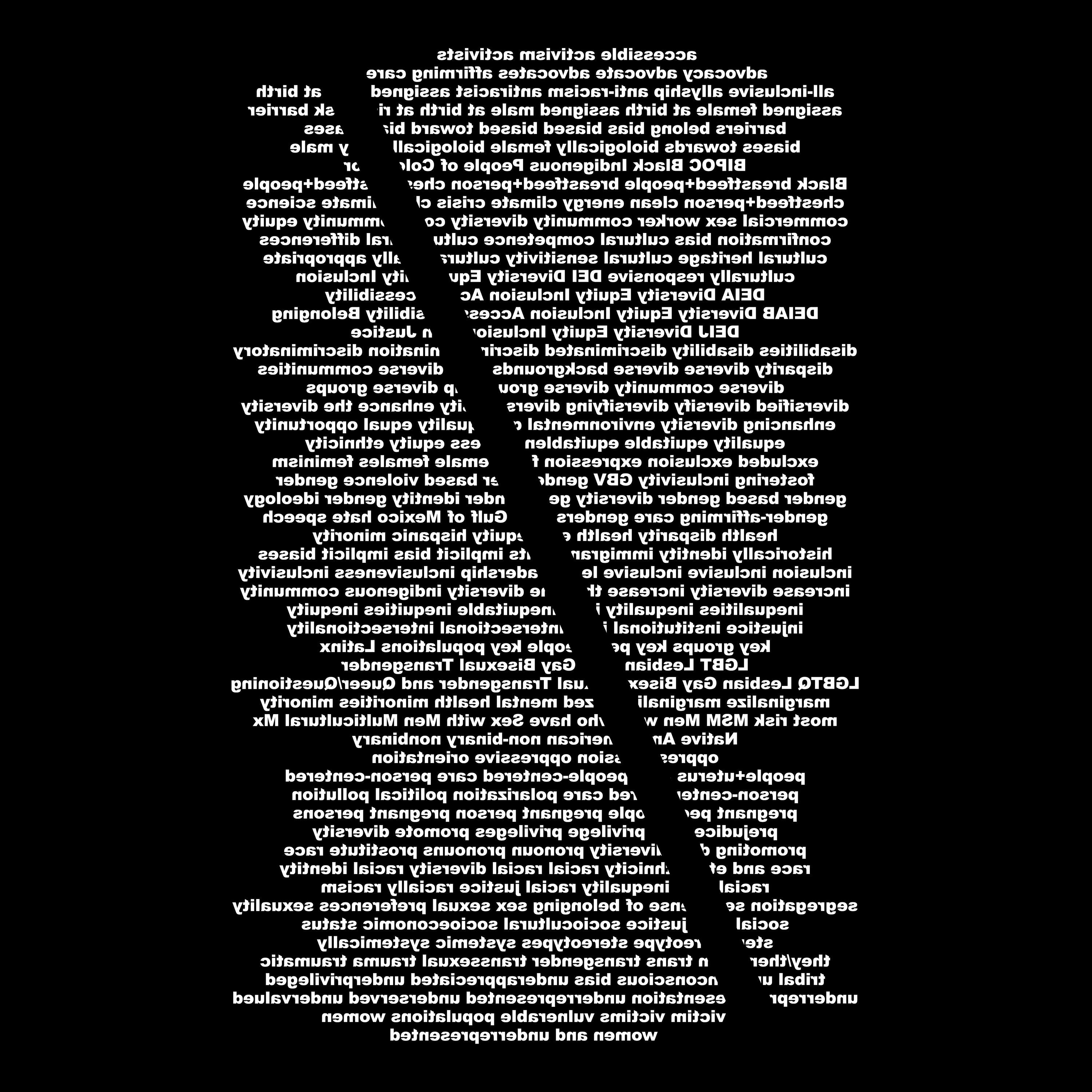 DEI Tshirt Diversity Equity Inclusion White Text on Black Protest Tee